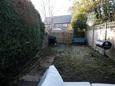Picture 11
